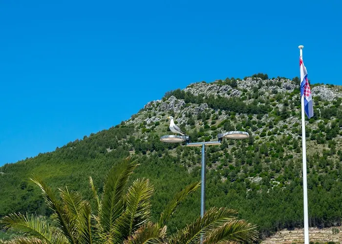 Ivica - Beachfront Drvenik (Split-Dalmatia)