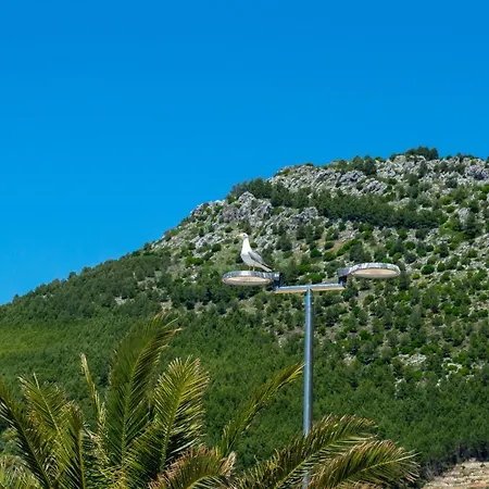 Ivica - Beachfront Apartments Drvenik (Split-Dalmatia)